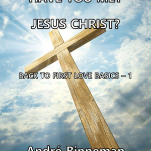 Have You Met Jesus Christ? eBook
