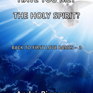 Have You Met The Holy Spirit? eBook